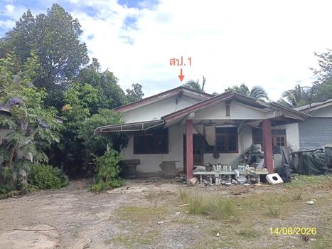 รูป บ้านเดี่ยว 185.5 ตร.วา เมืองนครศรีธรรมราช นครศรีธรรมราช 7.7M - รูปที่ 26/29
