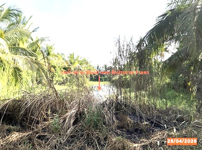 รูป โกดัง 3560.6 ตร.วา เชียรใหญ่ นครศรีธรรมราช 3.7M - รูปที่ 8/21