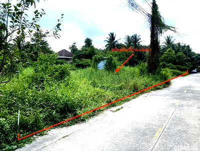 LAND 412.5 Sq.w. Muang Phatthalung Phatthalung for 12.8M