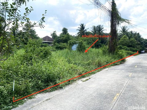 LAND 412.5 Sq.w. Muang Phatthalung Phatthalung for 12.8M