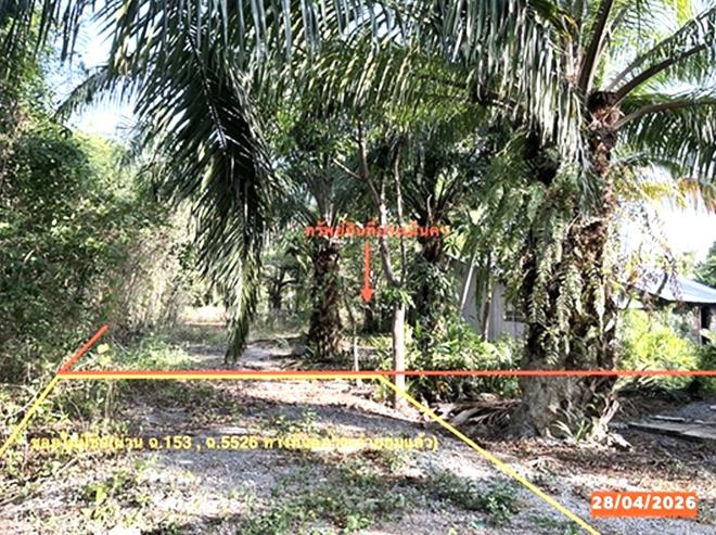 รูป โกดัง 3560.6 ตร.วา เชียรใหญ่ นครศรีธรรมราช 3.7M - รูปที่ 1/21