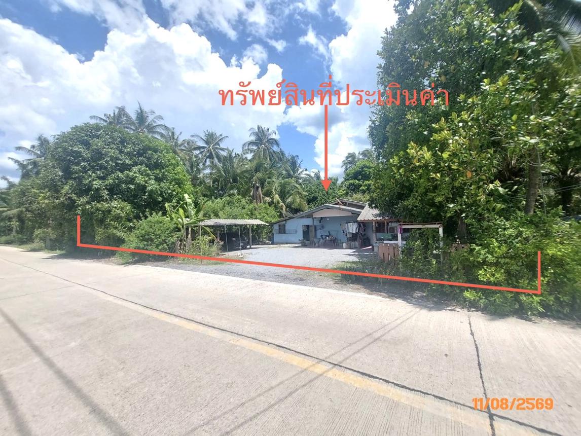 รูป บ้านเดี่ยว 320 ตร.วา ดอนสัก สุราษฎร์ธานี 1.5M - รูปที่ 8/15