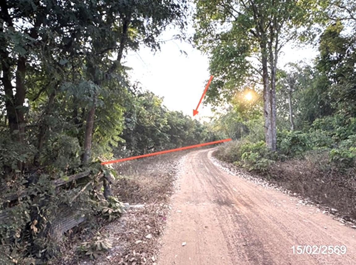 รูป ที่ดินว่างเปล่า 1002 ตร.วา สว่างวีระวงศ์ อุบลราชธานี 2M - รูปที่ 13/23