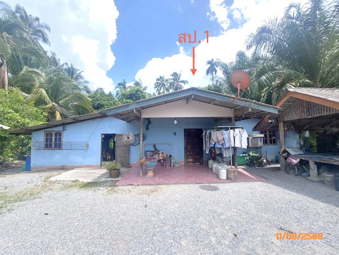 รูป บ้านเดี่ยว 320 ตร.วา ดอนสัก สุราษฎร์ธานี 1.5M - รูปที่ 10/15