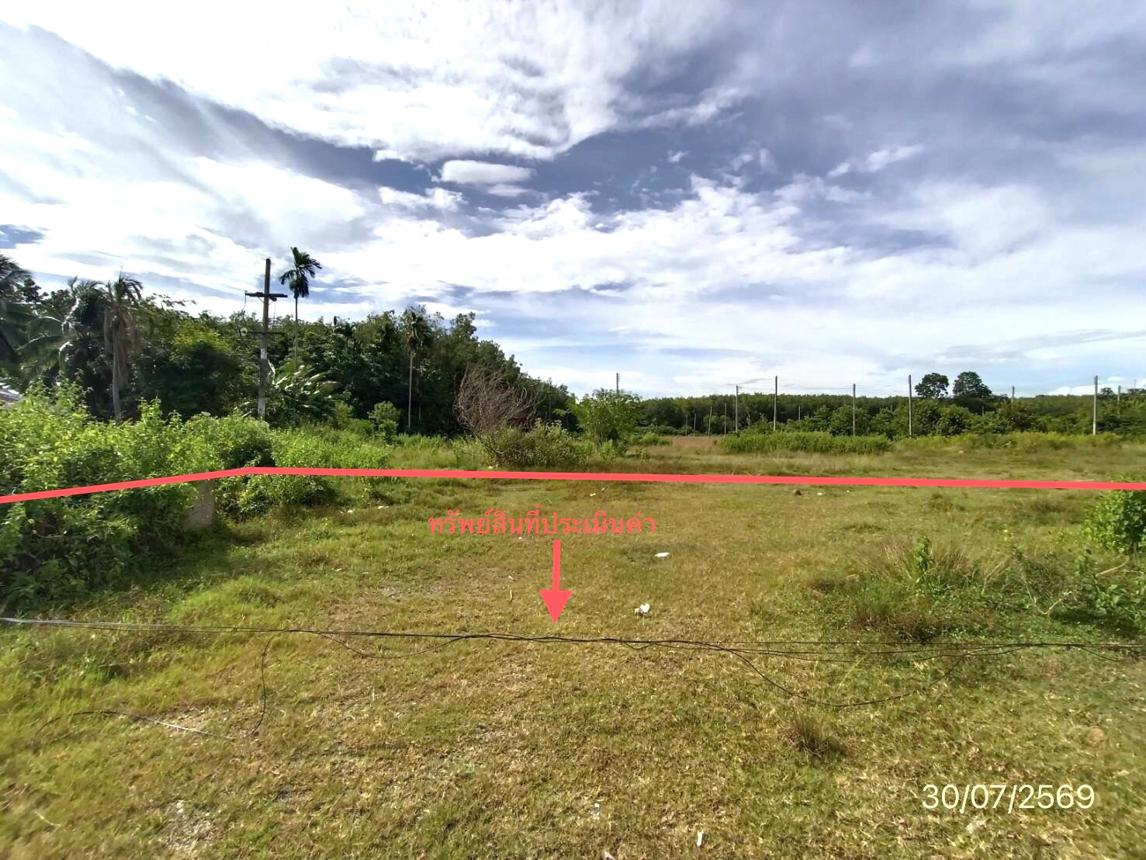 picture LAND 187 Sq.w. Khao Chaison Phatthalung for 2.8M - 13/19