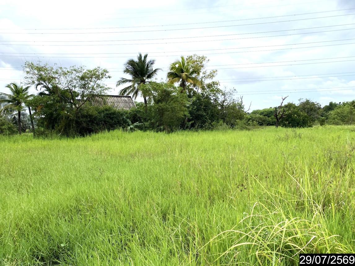 รูป ที่ดินว่างเปล่า 839.2 ตร.วา เมืองอุดรธานี อุดรธานี 1.7M - รูปที่ 14/25