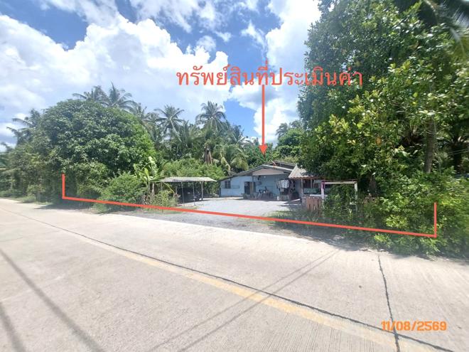 รูป บ้านเดี่ยว 320 ตร.วา ดอนสัก สุราษฎร์ธานี 1.5M - รูปที่ 2/15