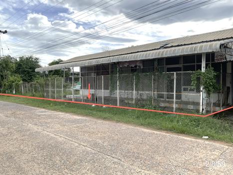 รูป บ้านเดี่ยว 243 ตร.วา ภูเขียว ชัยภูมิ 1.6M - รูปที่ 26/29
