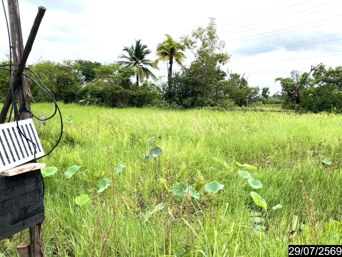 รูป ที่ดินว่างเปล่า 839.2 ตร.วา เมืองอุดรธานี อุดรธานี 1.7M - รูปที่ 18/25