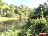 listing thumbnail image 16