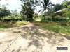 listing thumbnail image 41