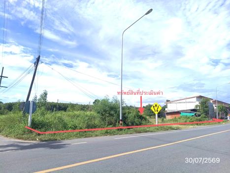 picture LAND 187 Sq.w. Khao Chaison Phatthalung for 2.8M - 16/19