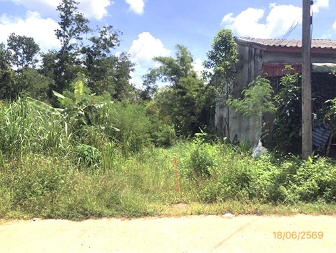 รูป ที่ดินว่างเปล่า 1854 ตร.วา ชัยบุรี สุราษฎร์ธานี 10.2M - รูปที่ 6/11