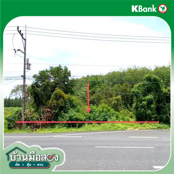 picture LAND 1506 Sq.w. Thepha Songkhla for 4.9M - 15/17