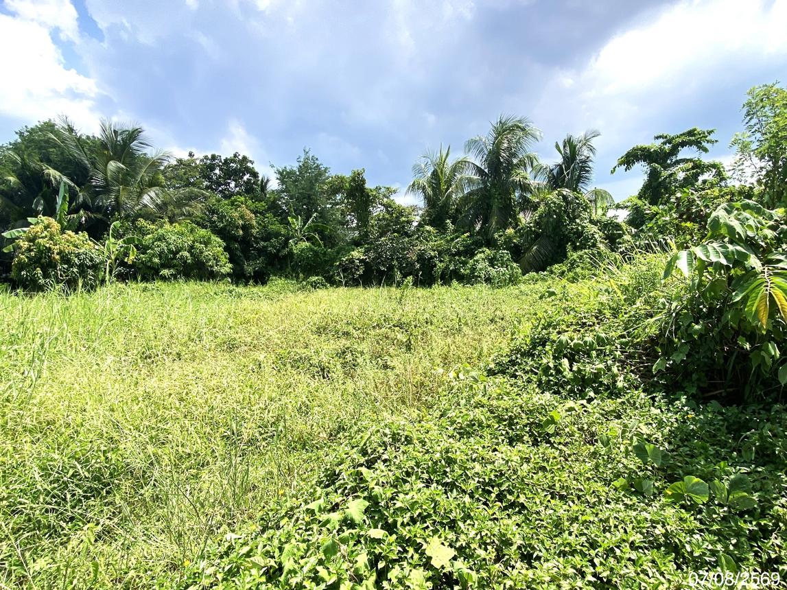 รูป ที่ดินว่างเปล่า 412.5 ตร.วา เมืองพัทลุง พัทลุง 12.8M - รูปที่ 11/17