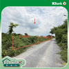 listing thumbnail image 16