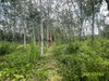 listing thumbnail image 39