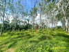 listing thumbnail image 20