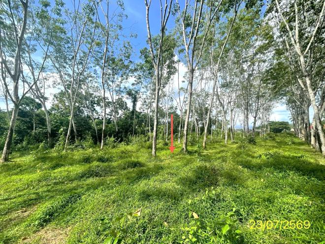 picture HOME 2416 Sq.w. Palian Trang for 20.7M - 21/45
