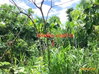 listing thumbnail image 16