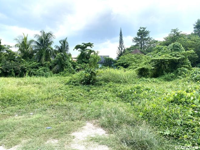 รูป ที่ดินว่างเปล่า 412.5 ตร.วา เมืองพัทลุง พัทลุง 12.8M - รูปที่ 4/17