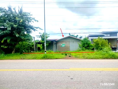 บ้านเดี่ยว สว่างแดนดิน สกลนคร : บ้านเดี่ยว 88 ตร.วา สว่างแดนดิน สกลนคร 1.7M