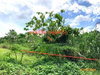 listing thumbnail image 31