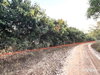 listing thumbnail image 19