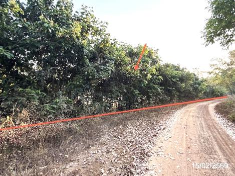 รูป ที่ดินว่างเปล่า 1002 ตร.วา สว่างวีระวงศ์ อุบลราชธานี 2M - รูปที่ 20/23