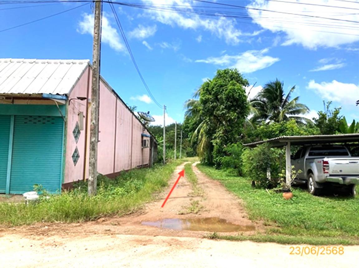 picture LAND 206 Sq.w. Chaiburi Surat Thani for 1.3M - 39/43