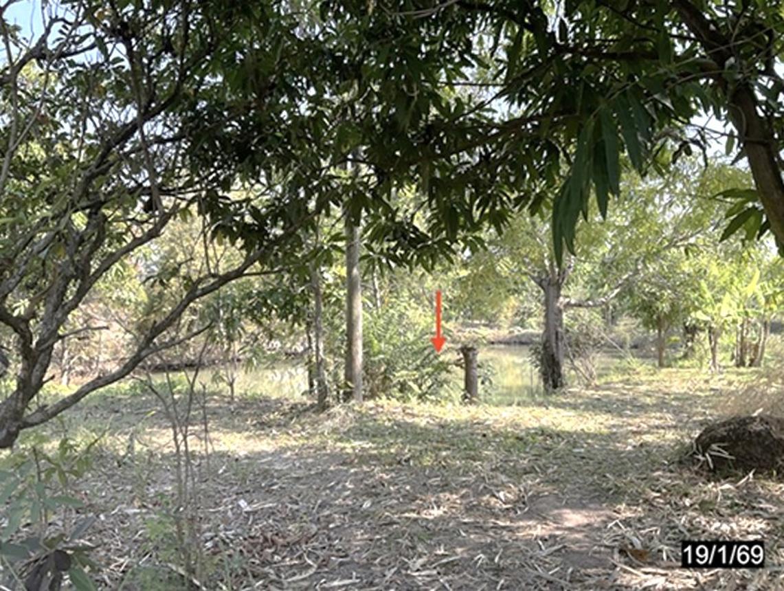 รูป บ้านเดี่ยว 1475 ตร.วา ห้วยเม็ก กาฬสินธุ์ 3.3M - รูปที่ 10/17