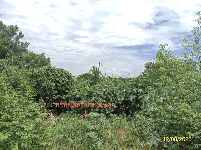 รูป ที่ดินว่างเปล่า 110 ตร.วา เมืองนครศรีธรรมราช นครศรีธรรมราช 1.6M - รูปที่ 8/19