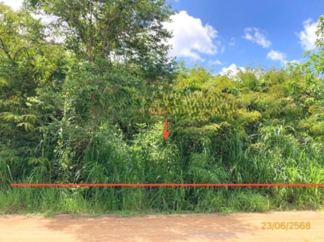 picture LAND 185 Sq.w. Chaiburi Surat Thani for 1.2M - 6/17