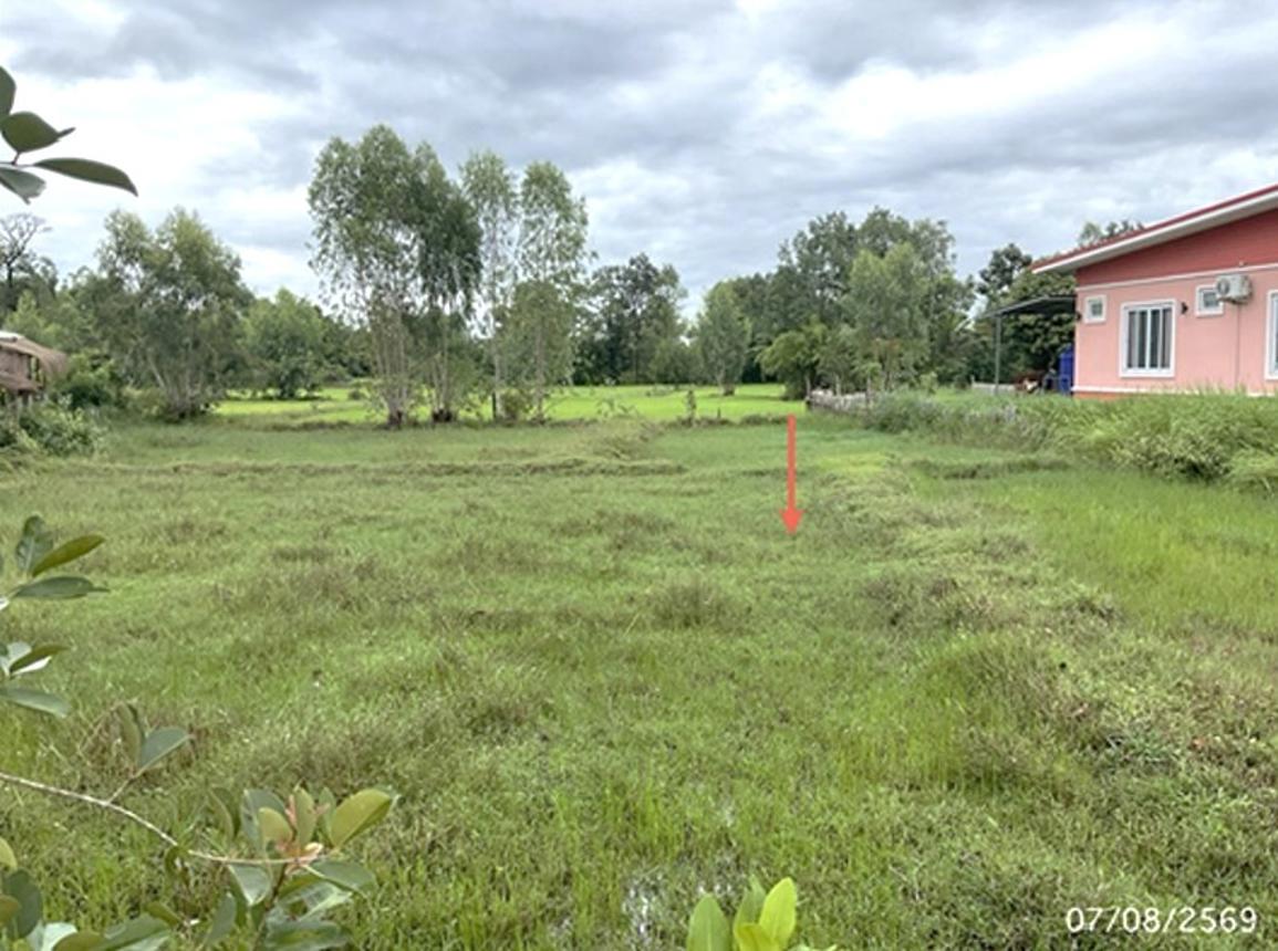 picture LAND 300 Sq.w. Muang Ubon Ratchathani Ubon Ratchathani for 420,000 - 10/15