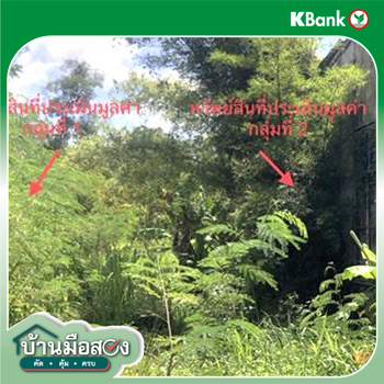 รูป ที่ดินว่างเปล่า 1854 ตร.วา ชัยบุรี สุราษฎร์ธานี 10.2M - รูปที่ 9/11