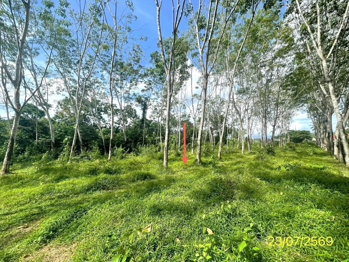 picture HOME 2416 Sq.w. Palian Trang for 20.7M - 41/45