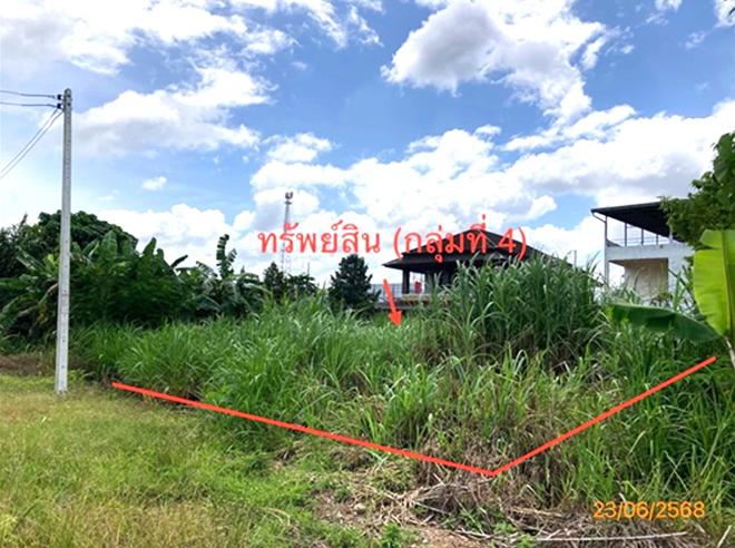 picture LAND 206 Sq.w. Chaiburi Surat Thani for 1.3M - 5/43