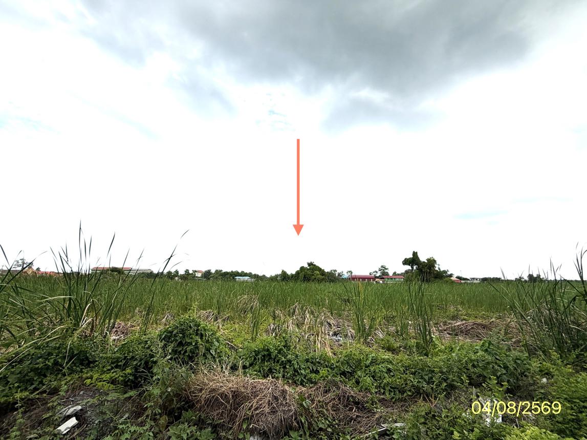 รูป ที่ดินว่างเปล่า 800 ตร.วา เขตคลองสามวา กรุงเทพมหานคร 4.8M - รูปที่ 11/19