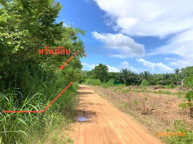 picture LAND 185 Sq.w. Chaiburi Surat Thani for 1.2M - 4/17
