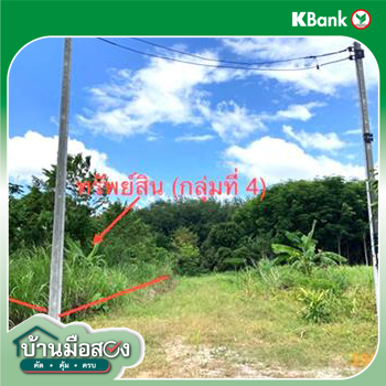 picture LAND 206 Sq.w. Chaiburi Surat Thani for 1.3M - 41/43
