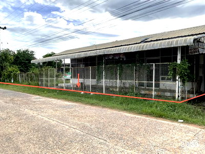 ขายบ้านเดี่ยว : บ้านเดี่ยว 243 ตร.วา ภูเขียว ชัยภูมิ 1.2M