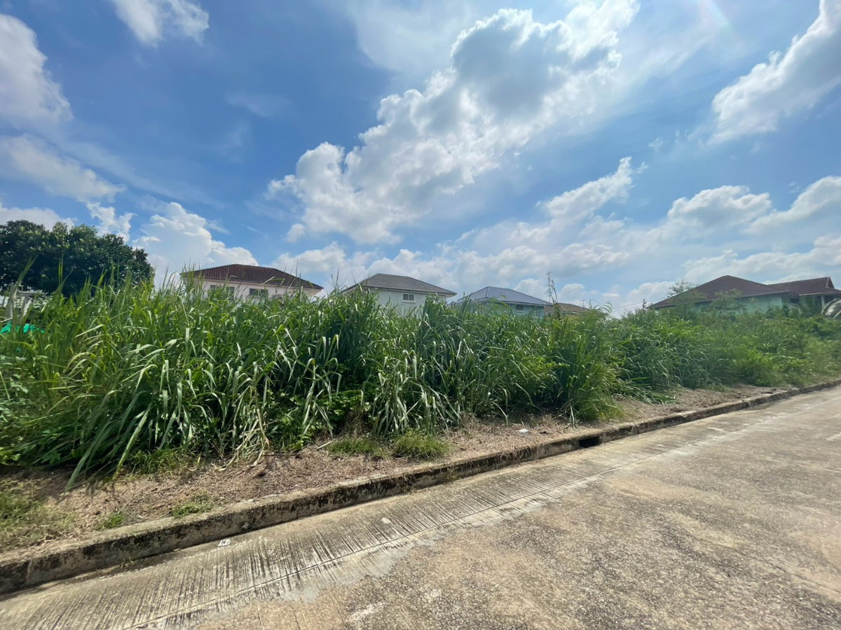 รูป ขายที่ดินเปล่าสองแปลงติดกัน หมู่บ้านวรารมย์ 69 เนื้อที่รวม 140.1 ตรว .(แปลงละ70 ตรว.) - รูปที่ 5/6