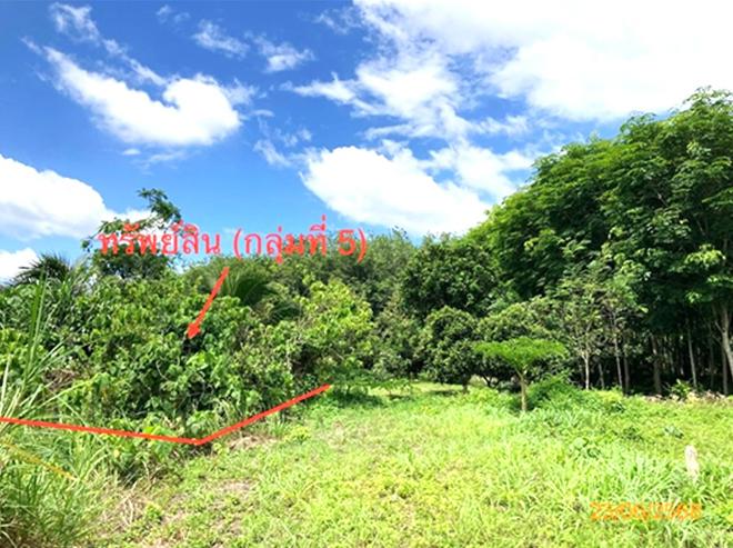picture LAND 206 Sq.w. Chaiburi Surat Thani for 1.3M - 11/43