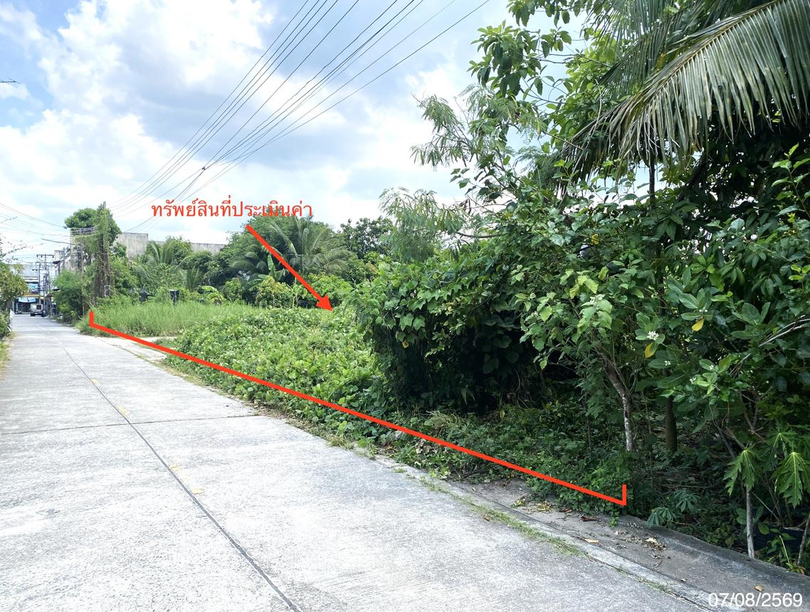 รูป ที่ดินว่างเปล่า 412.5 ตร.วา เมืองพัทลุง พัทลุง 12.8M - รูปที่ 9/17