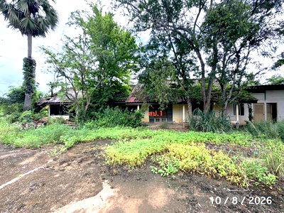 บ้านเดี่ยว รร.มงฟอร์ตวิทยาลัย แผนกมัธยม : บ้านเดี่ยว 500 ตร.วา สารภี เชียงใหม่ 2.8M
