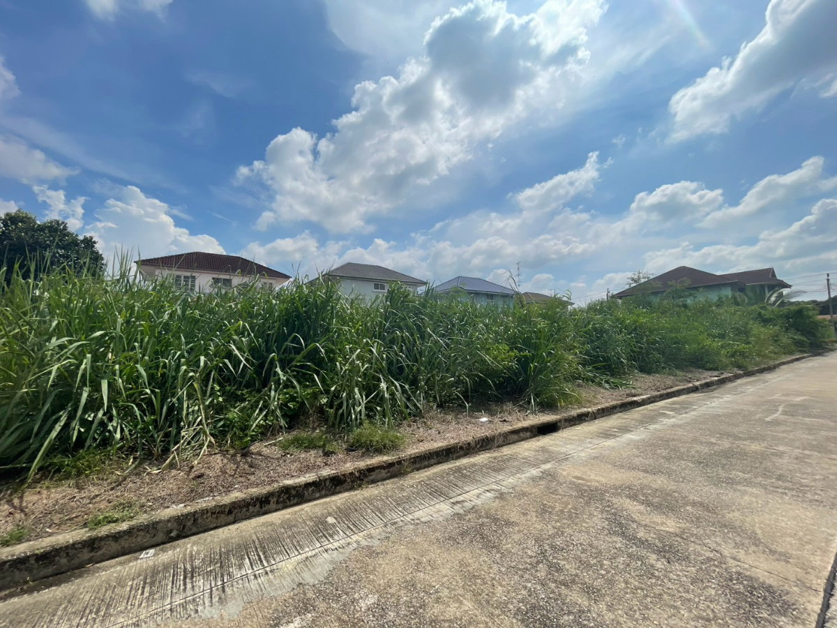 รูป ขายที่ดินเปล่าสองแปลงติดกัน หมู่บ้านวรารมย์ 69 เนื้อที่รวม 140.1 ตรว .(แปลงละ70 ตรว.) - รูปที่ 2/6