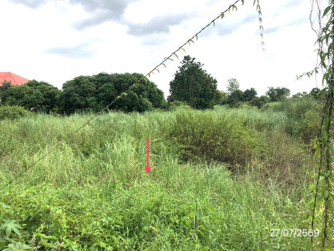 picture LAND 1440 Sq.w. Muang Sukhothai Sukhothai for 8.7M - 13/33