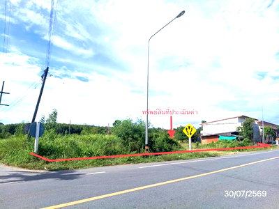 LAND 187 Sq.w. Khao Chaison Phatthalung for 2.8M