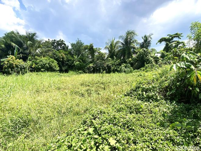 รูป ที่ดินว่างเปล่า 412.5 ตร.วา เมืองพัทลุง พัทลุง 12.8M - รูปที่ 5/17