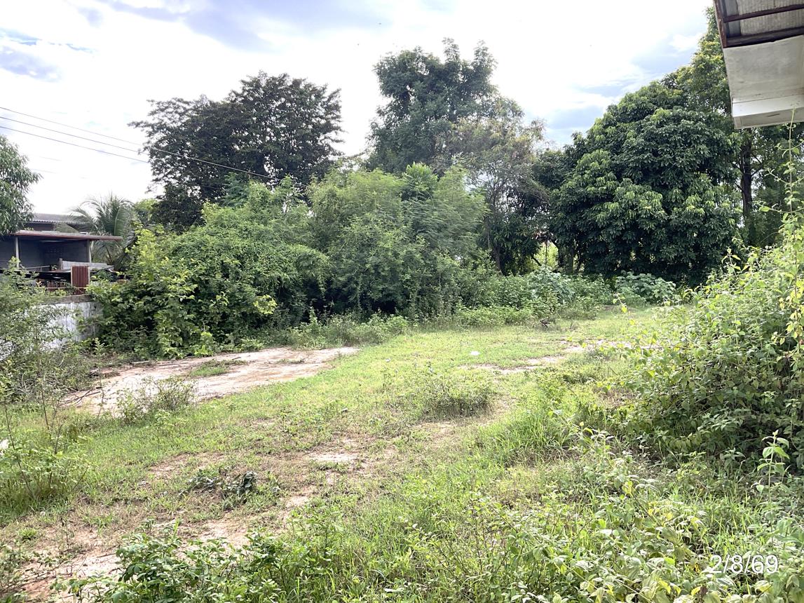 รูป บ้านเดี่ยว 243 ตร.วา ภูเขียว ชัยภูมิ 1.6M - รูปที่ 25/29